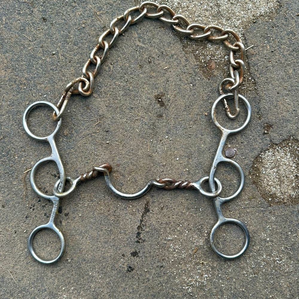 Professionals choice 5.5 inch twisted ported futurity bit